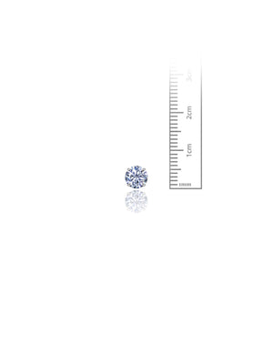 14K White Gold Round CZ Screwback Stud Earrings